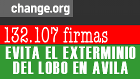firmas