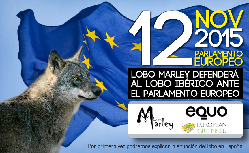 Lobo Marley UE 12nov2015