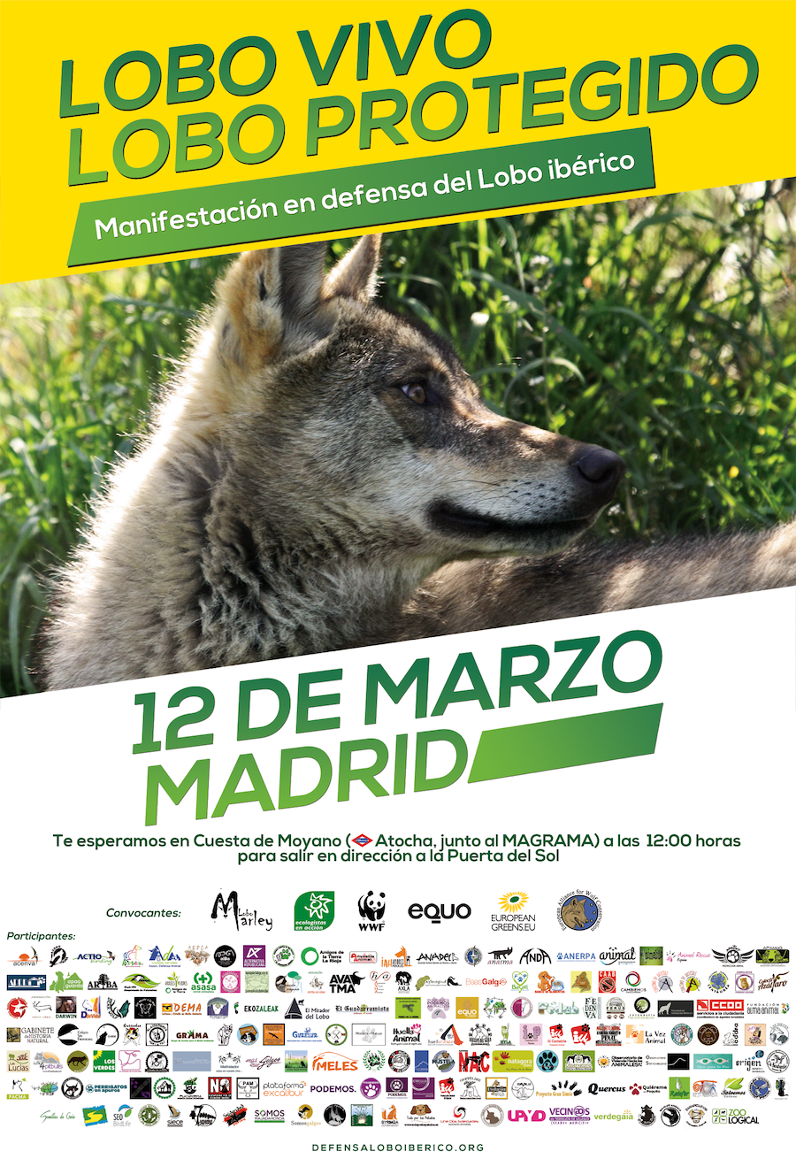Cartel manifestacion en defensa lobo iberico 2017 web